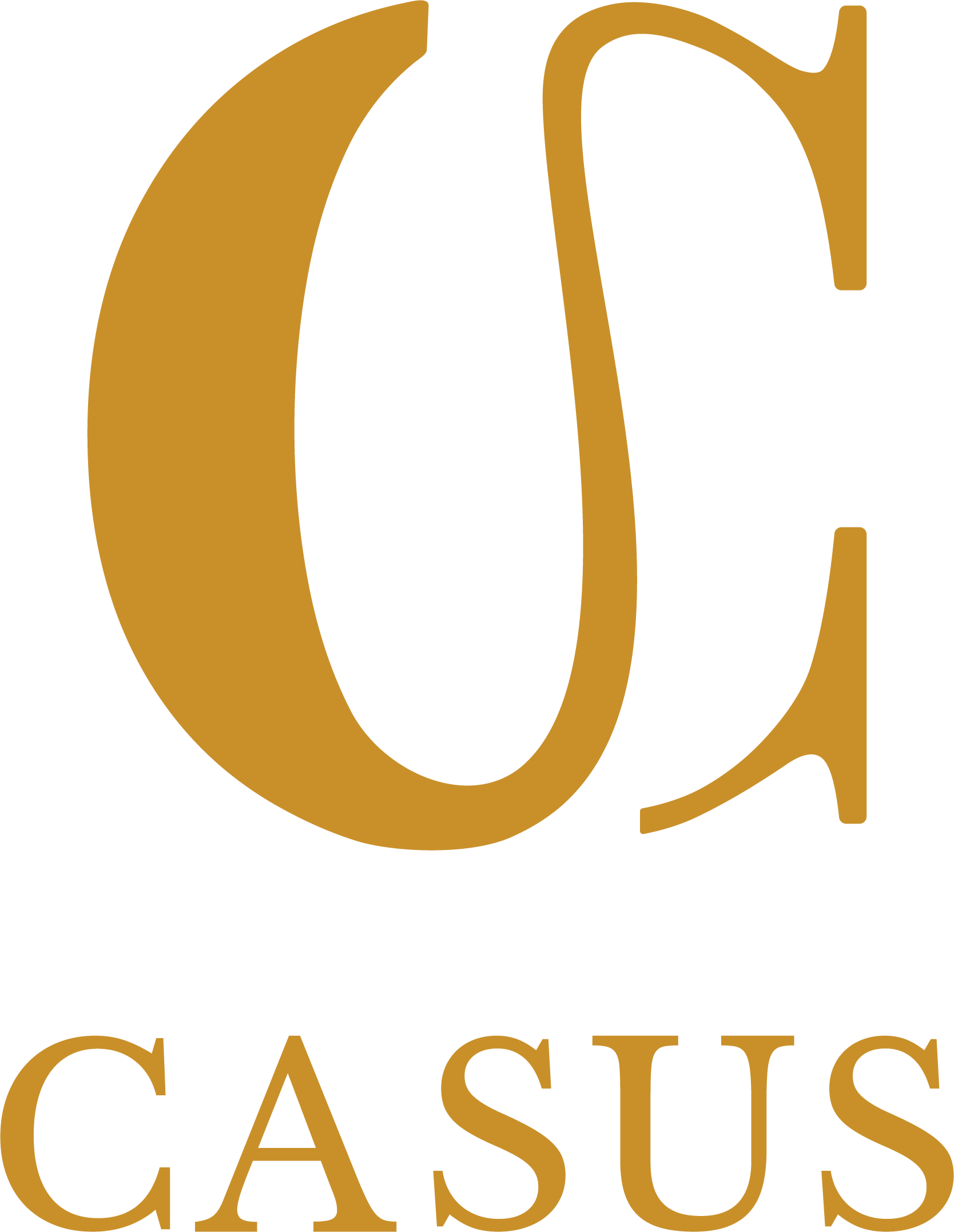 Casus